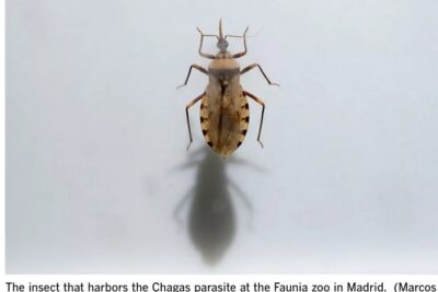 Screen Shot 2025-09-07 at 6.41.23 AM