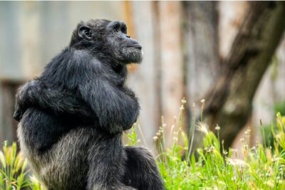 Screen Shot 2025-09-08 at 7.30.41 AM