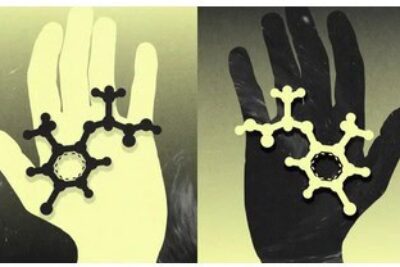 Screen Shot 2025-09-16 at 7.42.40 AM