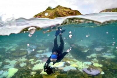 Screen Shot 2025-09-25 at 8.09.07 AM