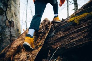 Unrecognizable man climbs in the forest in autumn
