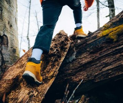 Unrecognizable man climbs in the forest in autumn
