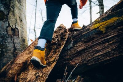 Unrecognizable man climbs in the forest in autumn