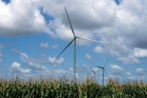 Willacy20Co20Windfarm20BL20TT2026