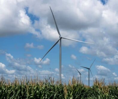 Willacy20Co20Windfarm20BL20TT2026