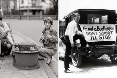 d101a388e74c6581d648cad4c6461d55