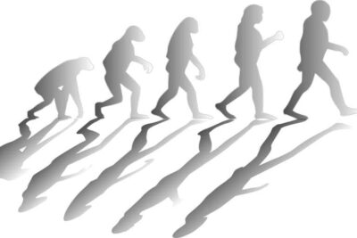 evolution
