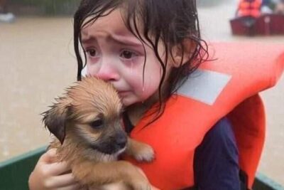 file-20250828-56-ray151