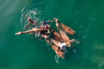 10-fd2d950f-06e4-4a4e-bb90-5707bce3b552