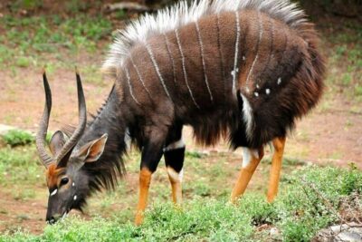 68d0f24cca65b_qees6efwkyh51__880