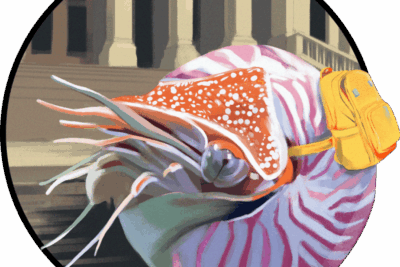 Speedbump_B2S-Sale_v4