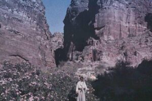www.rarehistoricalphotos.com