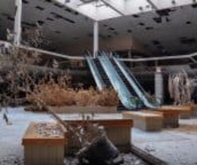 200316034109-11-seph-lawless-abandonded-malls-story-body
