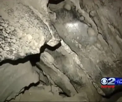 2cbcac28f864cea2da34c934e6c86dbc