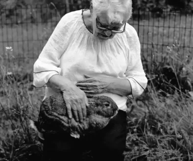 30.-Rabbit-8x10-maybe-keep-as-a-single-image-spread