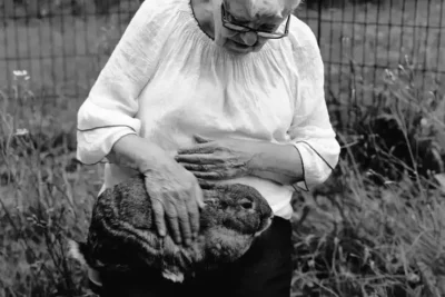 30.-Rabbit-8x10-maybe-keep-as-a-single-image-spread