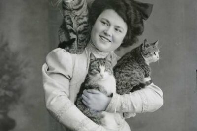 C0gPxHGgDnz-png__700