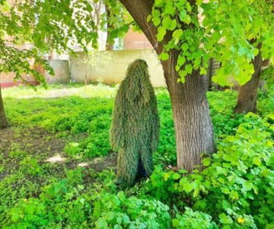 Image-2_Camouflaging-Soldiers-500x375-1