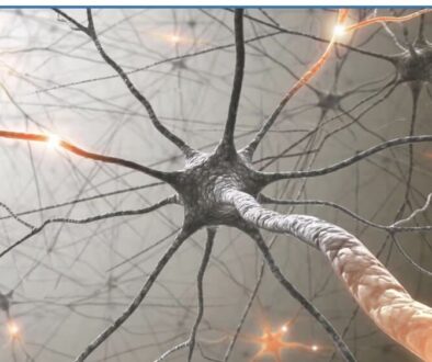 Screenshot 2025-11-13 at 9.06.31 AM