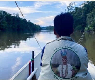 Screenshot 2025-11-19 at 08-32-40 'In the Amazon protection is spiritual' Defying coca lords and loggers in the Amazon Reader View