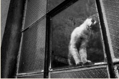 Screenshot 2025-11-20 at 08-18-13 All About Photo Magazine Awards 2022 Here Are 25 Of The Most Beautiful Black And White Photographs Reader View