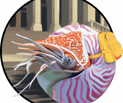 Speedbump_B2S-Sale_v4