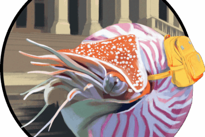 Speedbump_B2S-Sale_v4