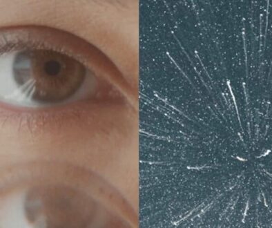 Is searching for purpose an inherent human trait? These experts say yes. 