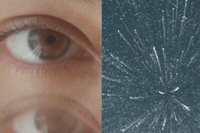 Is searching for purpose an inherent human trait? These experts say yes. 