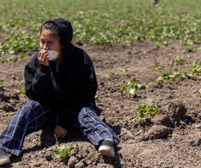 file-20251125-56-tx6tde