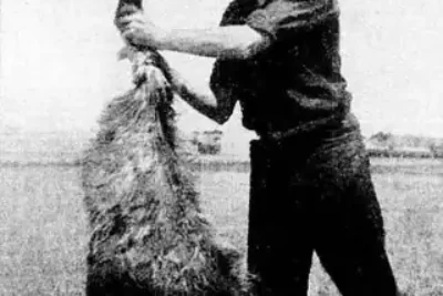 man-holding-up-a-dead-emu-for-the-camera-during-the-emu-war-v0-7wtdn543mx0g1