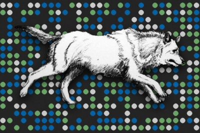 playing_god_with_de_extinction_alt_2_1050x700