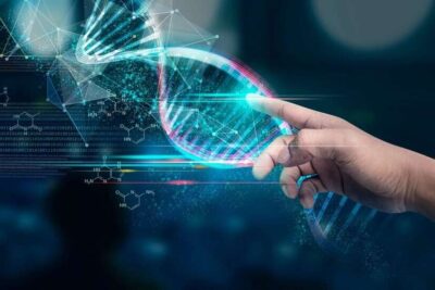 shutterstock_2144141243-scaled-e1763245889574