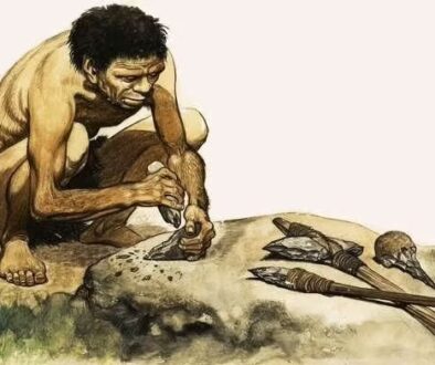 stone-tools-e1762372606884