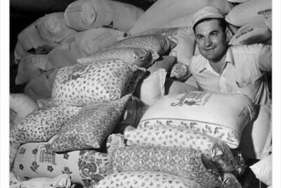 1987599913488904461-png__700