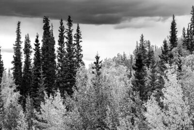 AdobeStock_614130967