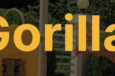 Screenshot 2025-12-16 at 08-30-14 ESLGorilla – Your #1 ESL Job Board Worldwide