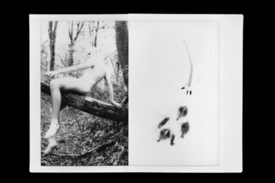 image-froth_1415126_qxkPTMrqc