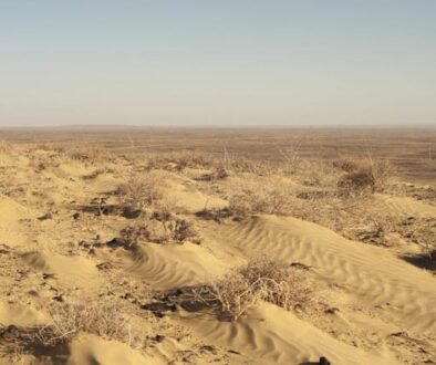 noema_hr_003-copy-scaled-1