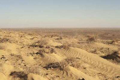 noema_hr_003-copy-scaled-1