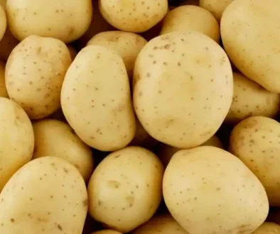 potatoes-header-image