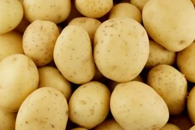 potatoes-header-image
