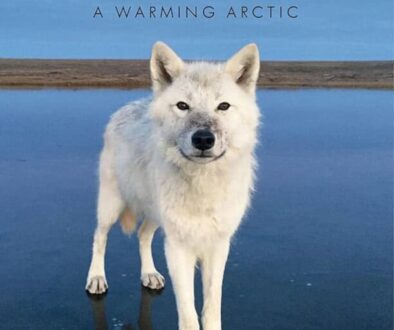 814cOPIxmLL._AC_UF10001000_QL80_1000