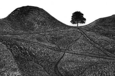 CUT-10_Final-scaled-e1764781831859-1124x536-1