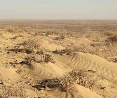 Screenshot 2026-01-05 at 8.21.46 AM