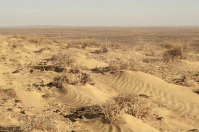 Screenshot 2026-01-05 at 8.21.46 AM