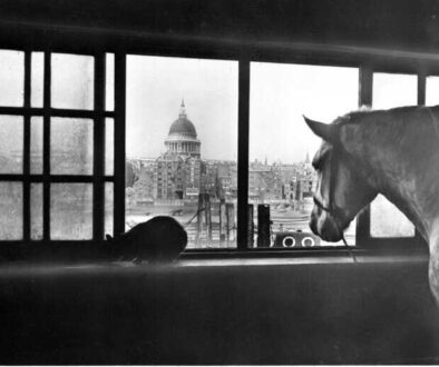 St-Pauls-Cathedral-horse-2048x1152