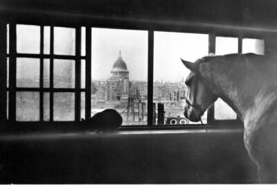 St-Pauls-Cathedral-horse-2048x1152
