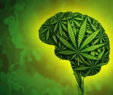 cannabis-effects-brain-mental-health