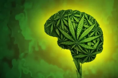 cannabis-effects-brain-mental-health